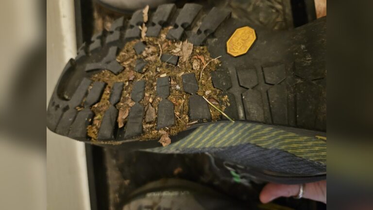 How to Clean Dog Poop from Shoes