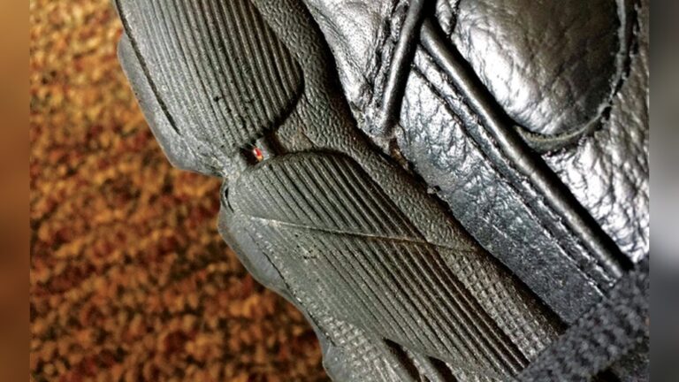 How to Treat Shoes for Bed Bugs